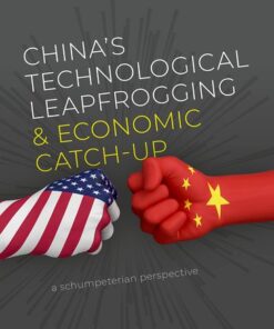 Cover for China's Technological Leapfrogging and Economic Catch-up book