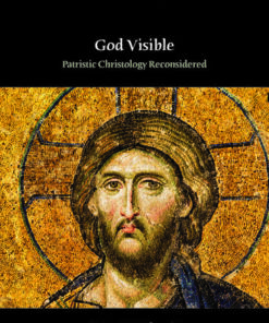 Cover for God Visible book