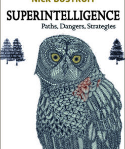 Cover for Superintelligence book