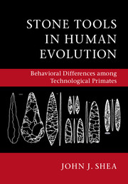 Cover for Stone Tools in Human Evolution book