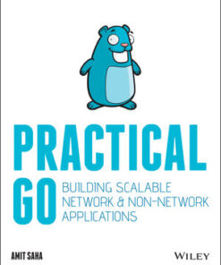 Cover for Practical Go: Building Scalable Network and Non-Network Applications book
