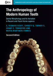Cover for The Anthropology of Modern Human Teeth book