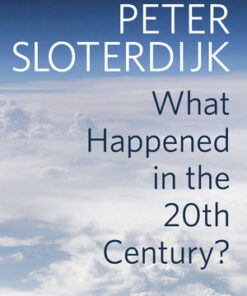 Cover for What Happened in the Twentieth Century?: Towards a Critique of Extremist Reason book
