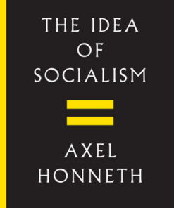 Cover for The Idea of Socialism: Towards a Renewal book