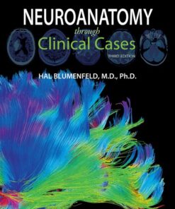 Cover for Neuroanatomy through Clinical Cases book